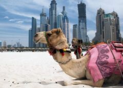 La sostenibilità parla arabo